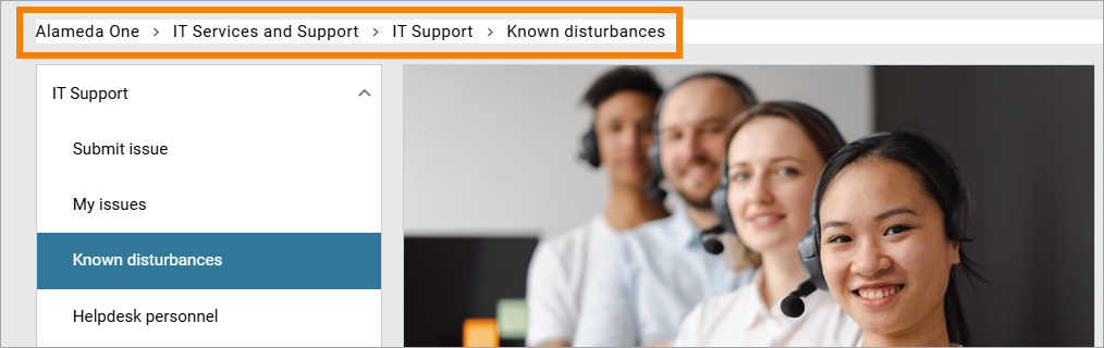 ../_images/access-on.png